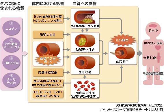 ダミー画像