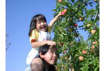 はびろ農業公園みはらしファーム